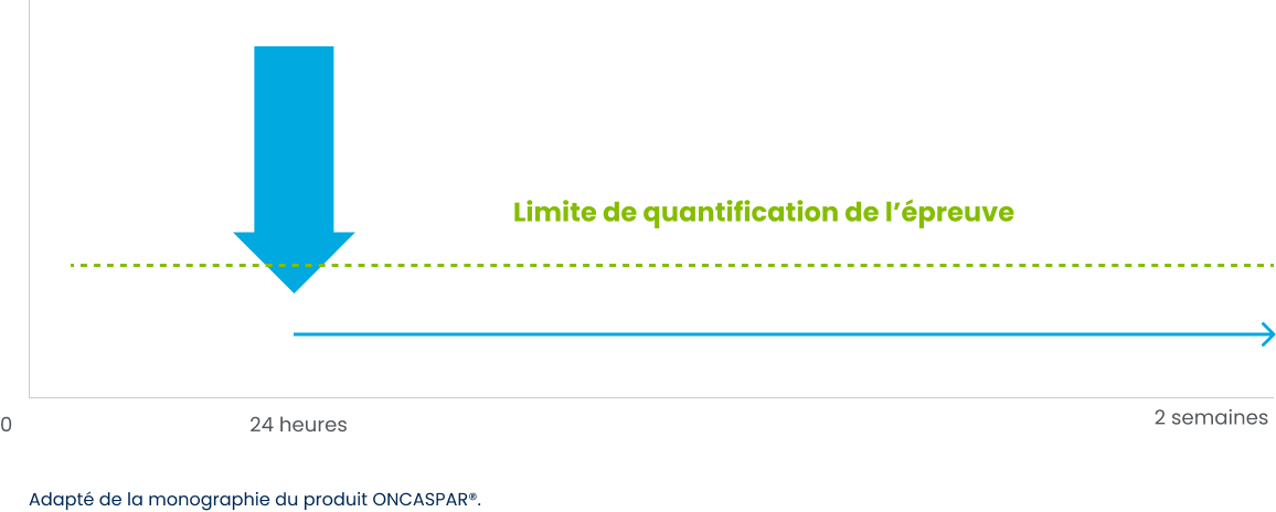 Graphe montrant la déplétion de la L-asparagine dans le sang suivant le traitement d’induction et la première dose du traitement de consolidation par ONCASPAR®